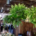 The Haight Summer&nbsp;Soiree-21